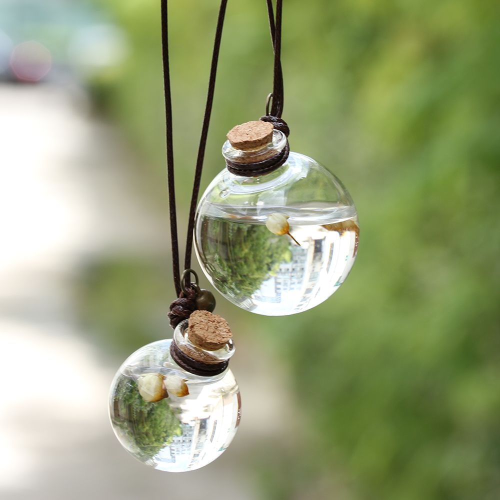 Terrarium Glass Bottle - DIY Crystal Clear Glass Balls Vial