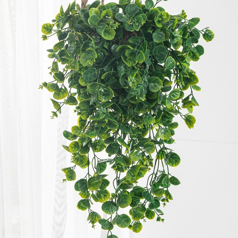 Eucalyptu Fern Rattan Artifici - Artificial Hanging Plants ulasan dan harga