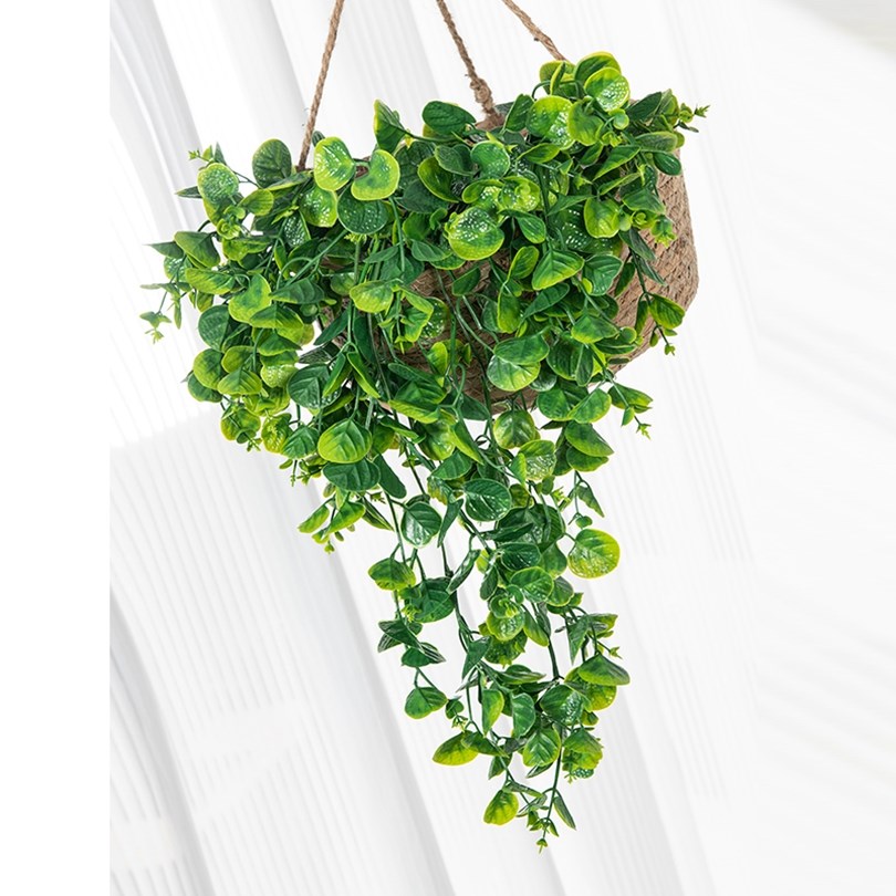 Eucalyptu Fern Rattan Artifici - Artificial Hanging Plants ulasan dan harga