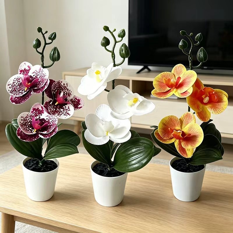 Mini Butterfly Orchid Potted P - Home Decor Minimal ulasan dan harga