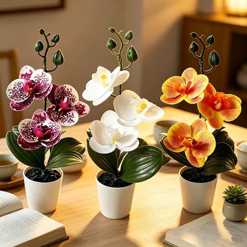 Mini Butterfly Orchid Potted P - Home Decor Minimal ulasan dan harga