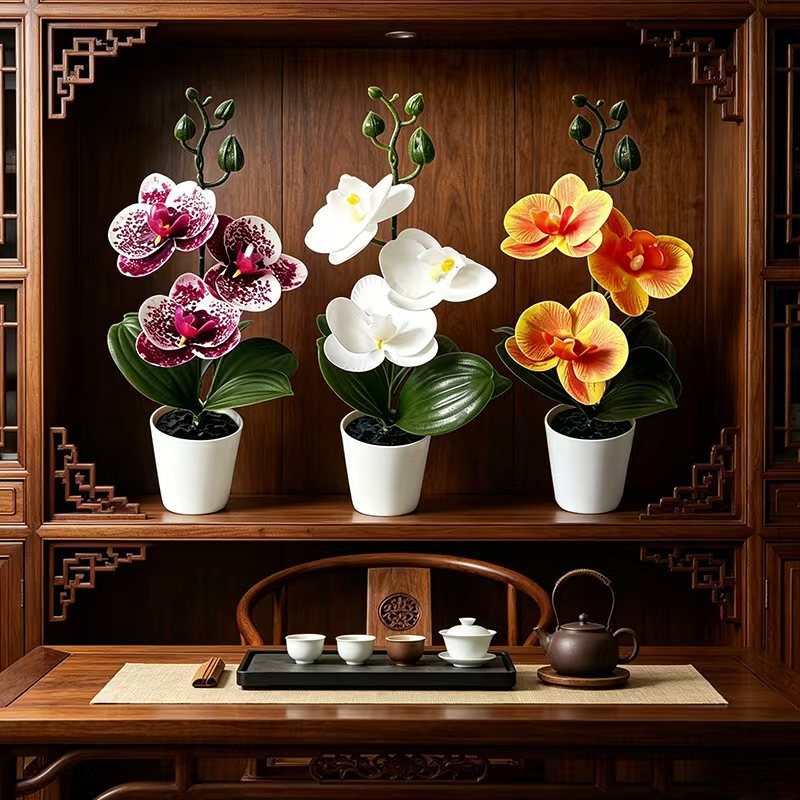 Mini Butterfly Orchid Potted P - Home Decor Minimal ulasan dan harga