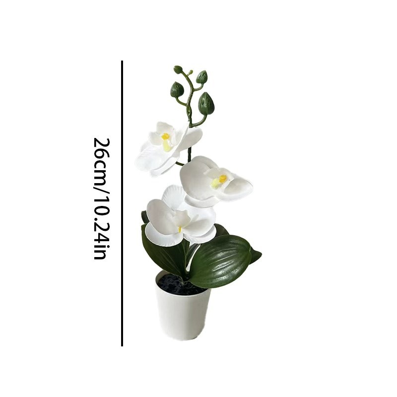 Mini Butterfly Orchid Potted P - Home Decor Minimal ulasan dan harga