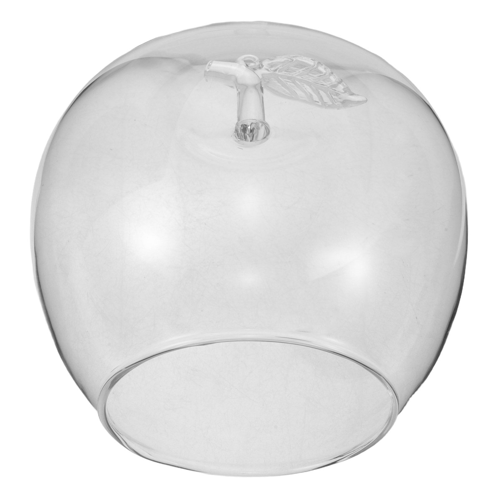 Fruit Themed Glass Dome Cloche - Home Decor Theme ulasan dan harga