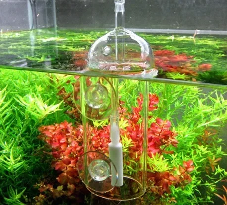 VIV Do Device Aquarium Cylinde - Terrarium Glass Bottle ulasan dan harga