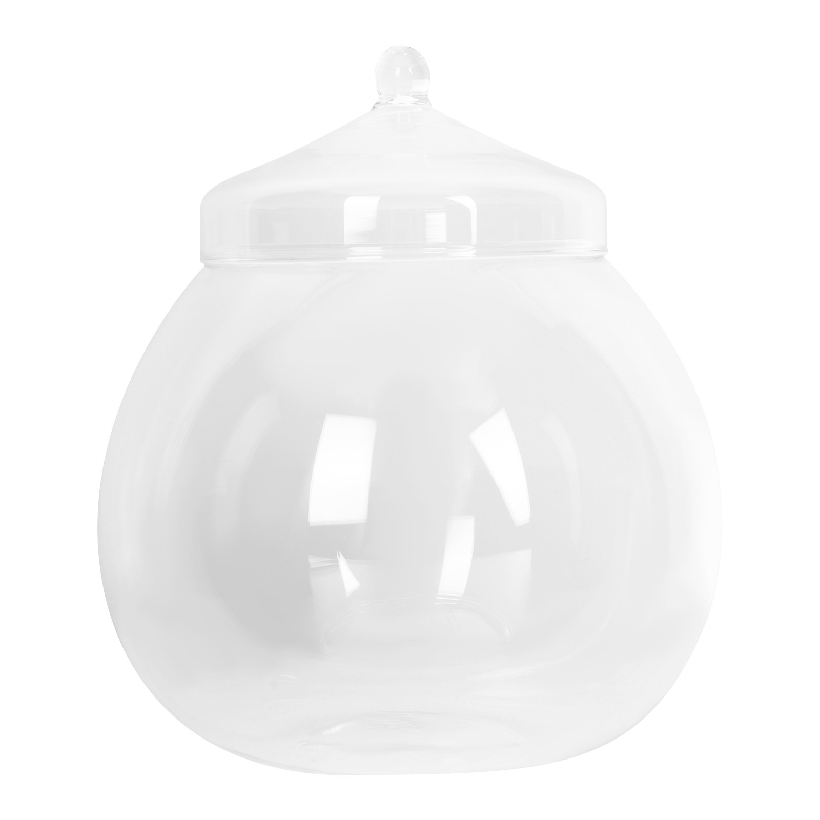 1Set Simple Glass Ecological B - Terrarium Glass Bottle ulasan dan harga