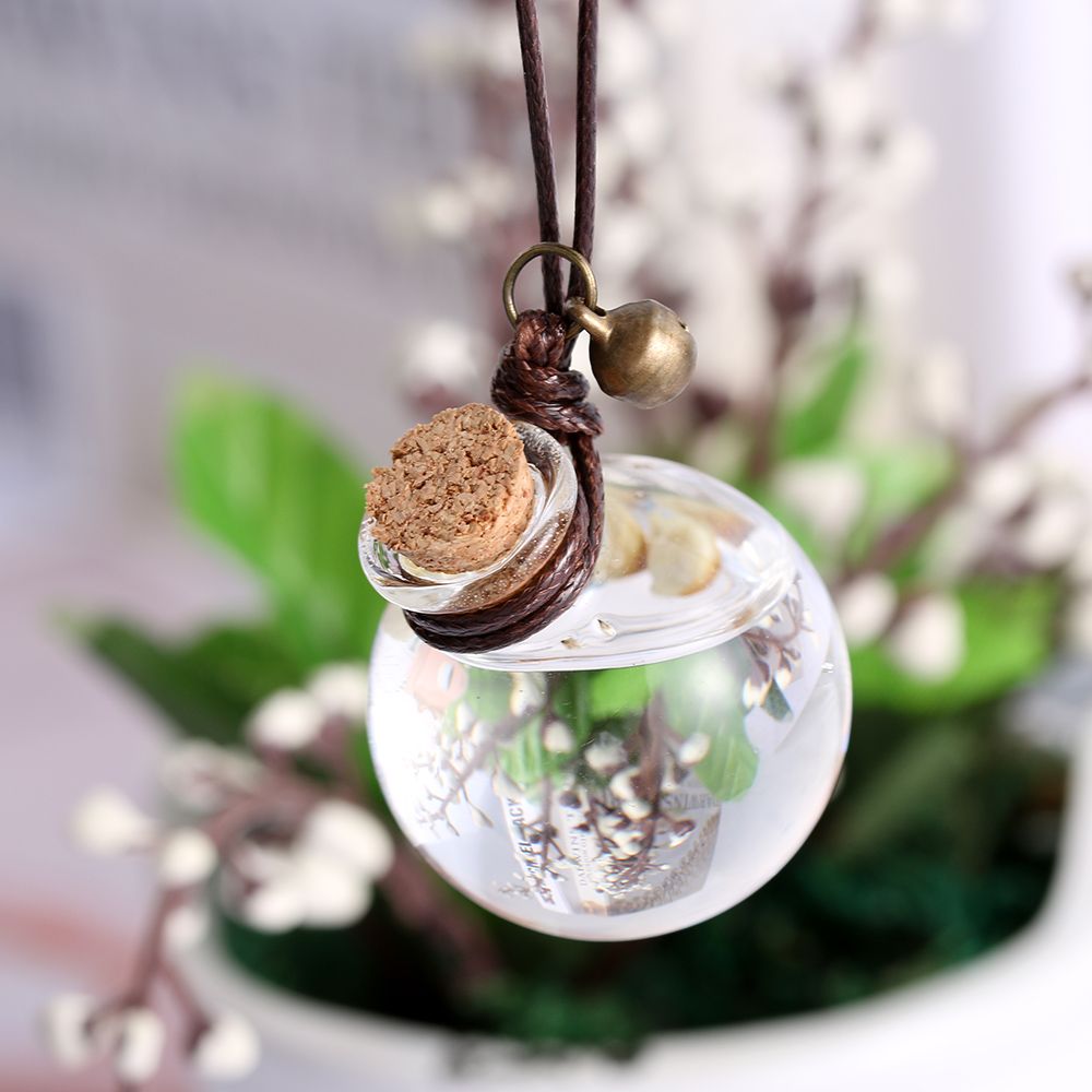 DIY Crystal Clear Glass Balls  - Terrarium Glass Bottle ulasan dan harga