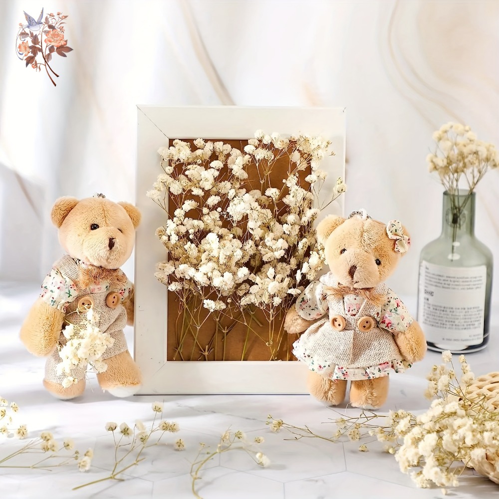 100pcs Mini Dried Baby's Breat - Home Decor Minimal ulasan dan harga