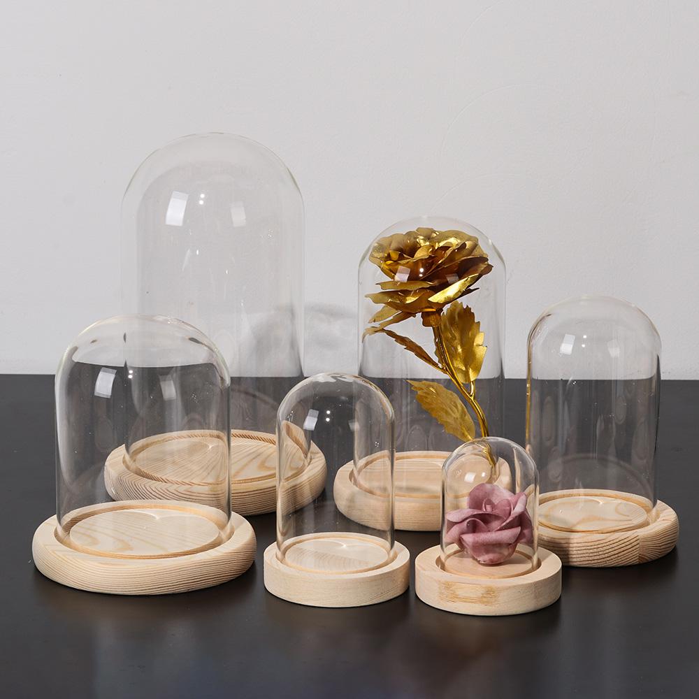 Fairy Lights Home Decor Terrar - Terrarium Glass Bottle ulasan dan harga